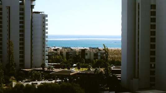 white high rise buildings near beach photo