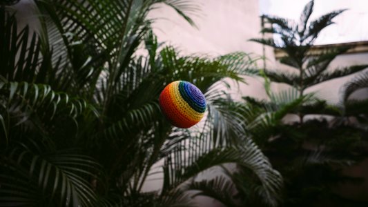 Dominican republic, Colors, Backyard