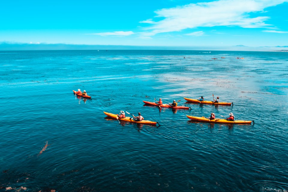 Monterey bay, United states, Lifestyle