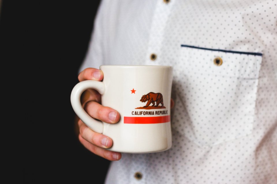 person holding white and red California Republic ceramic mug photo