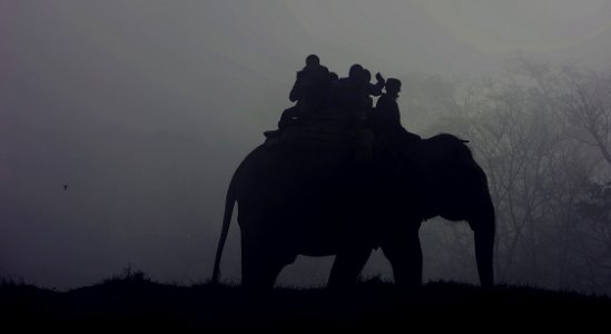 silhouette of people riding elephant photo