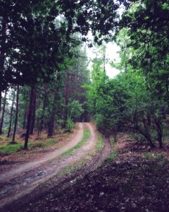 Underberg, South africa, Travel