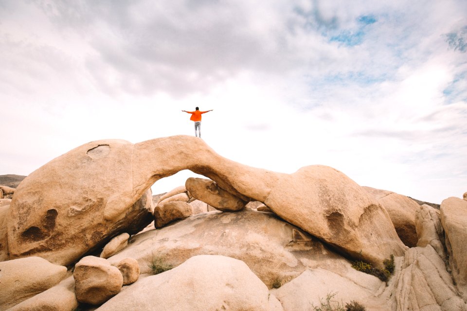Joshua tree, United states, Hills