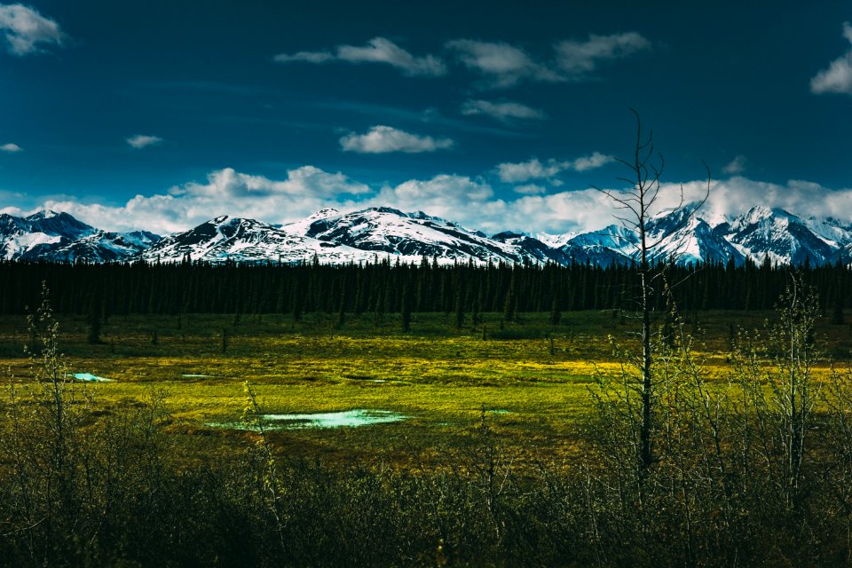 Denali national park, Preserve, United states