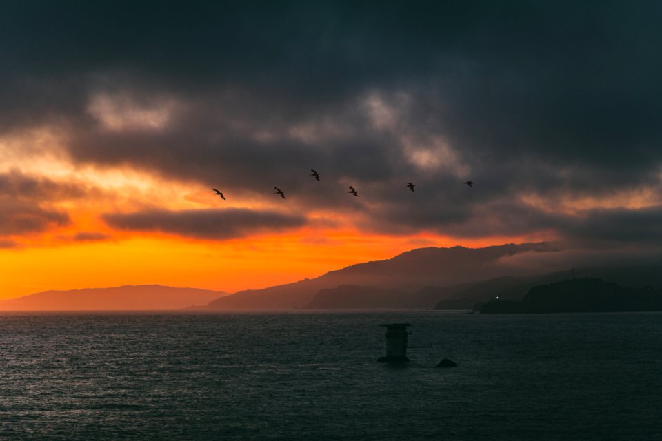 six birds on sky above body of water