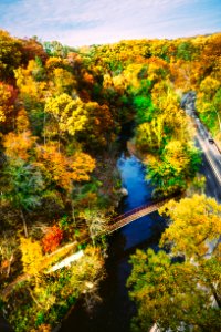 aerial photography of brown metal bridge surrounded with trees while cars on road photo