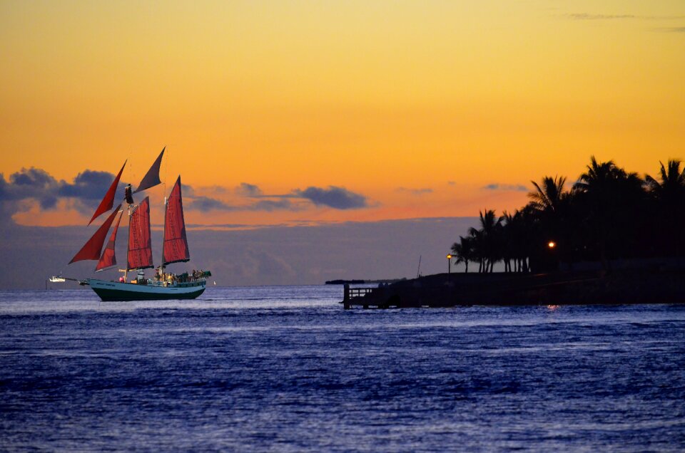 Sunset tropical outdoors