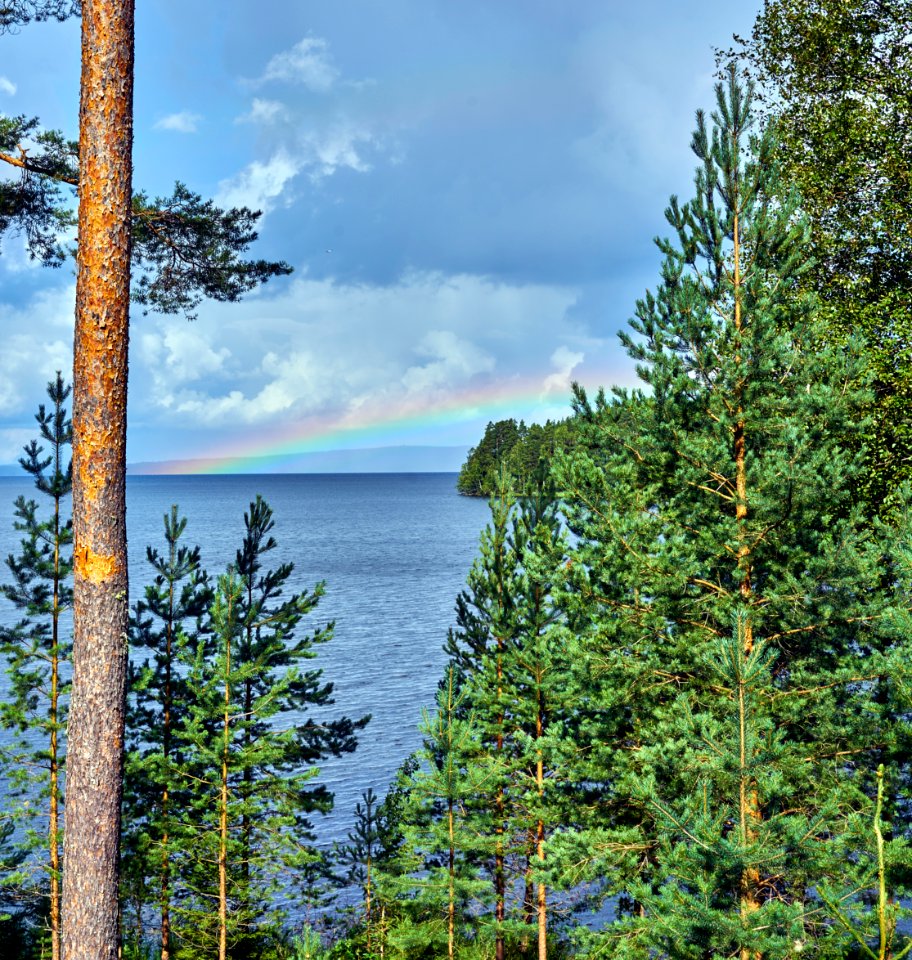 Finl, Nature, Summer
