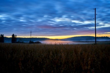 panoramic view of brown grass fields photo