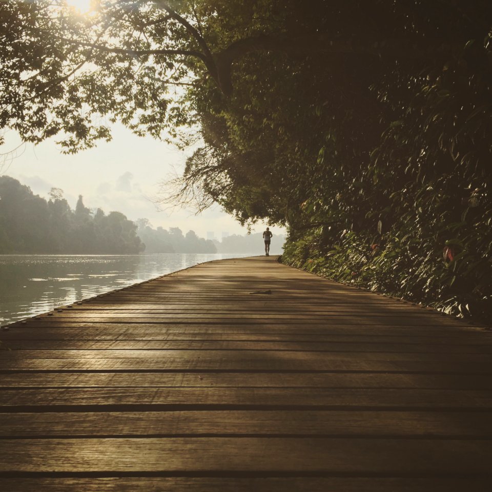 Singapore, Forests, Lake
