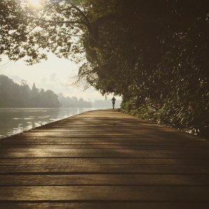 Singapore, Forests, Lake
