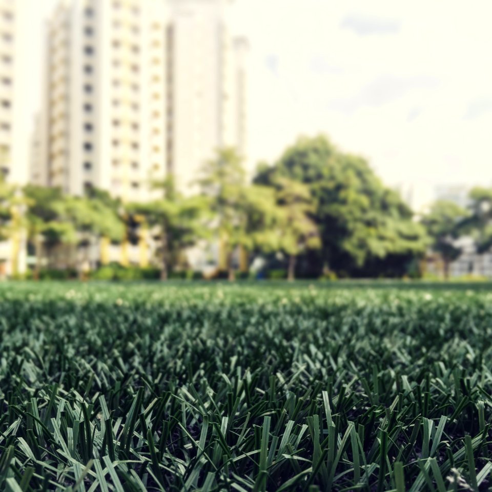 Fields, Trees, Grass