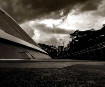 Singapore, Sky, Tress