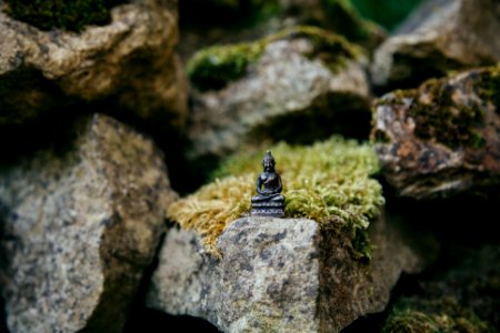 brown Buddha miniature on stone photo