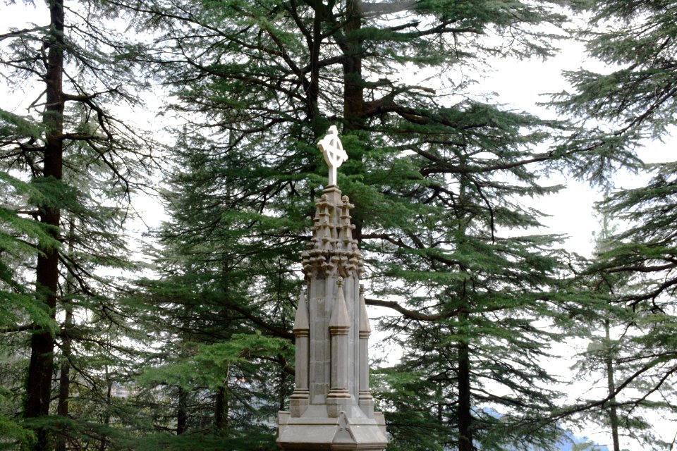 St john, The wilderness, Dharamshala