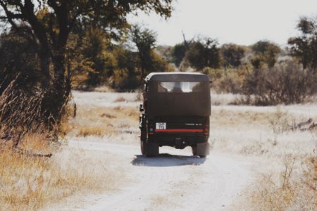 black off-road vehicle near tree photo