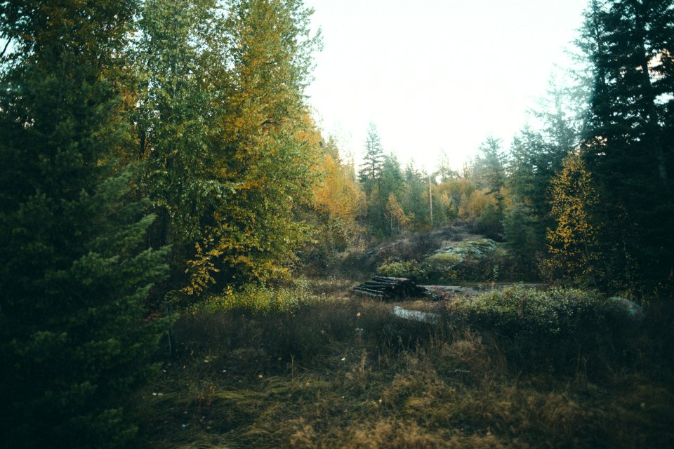 Loon lake, United states, Fall