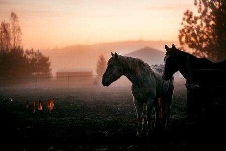 Greenacres, Spokane valley, United states