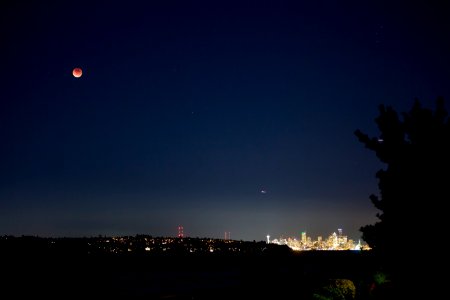 panoramic photography of city at night