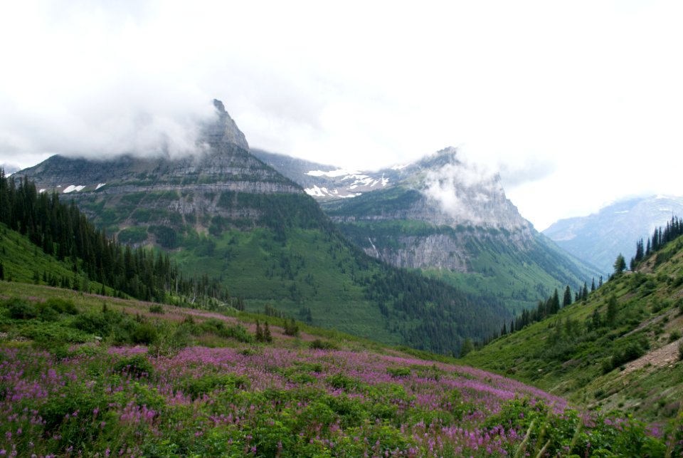 Goingtothesun road, West glacier, United states