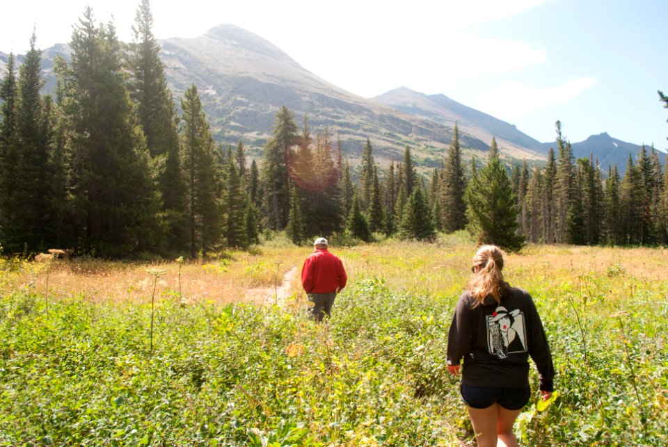 Two medicine lake, United states, Forest