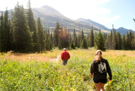 Two medicine lake, United states, Forest photo