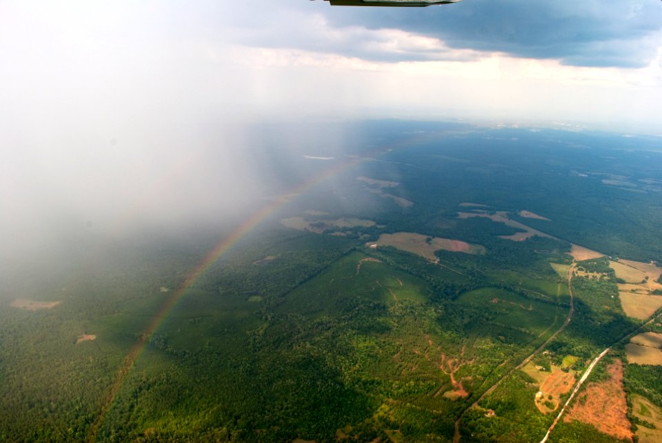 Auburn, United states, Aerial view