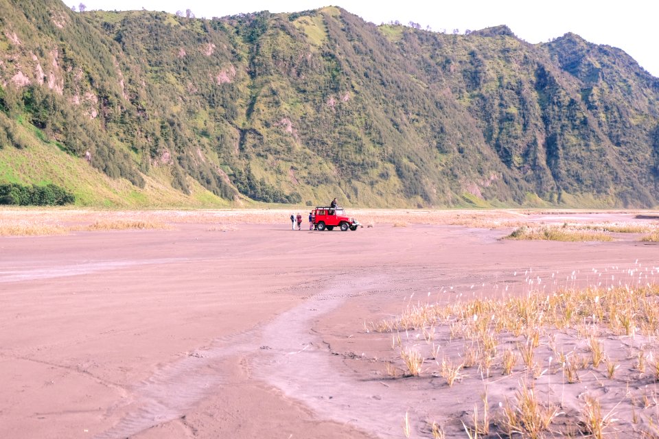 Bromo tengger semeru national park, Indonesia, Green