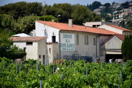 Cassis, Domaine de la ferme blanche, France photo