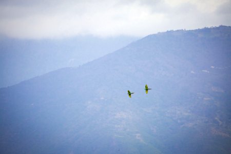 Mexico, Santa mara tecomavaca, Canyon