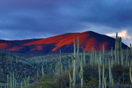 mountain peak during daytime