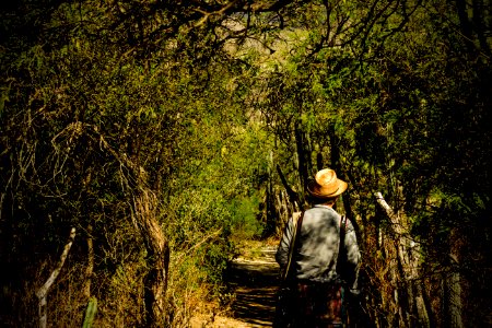 Mexico, Zapotitlan salinas botanical garden, Walk