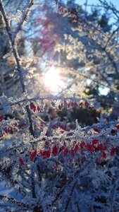 Wintry cold snow