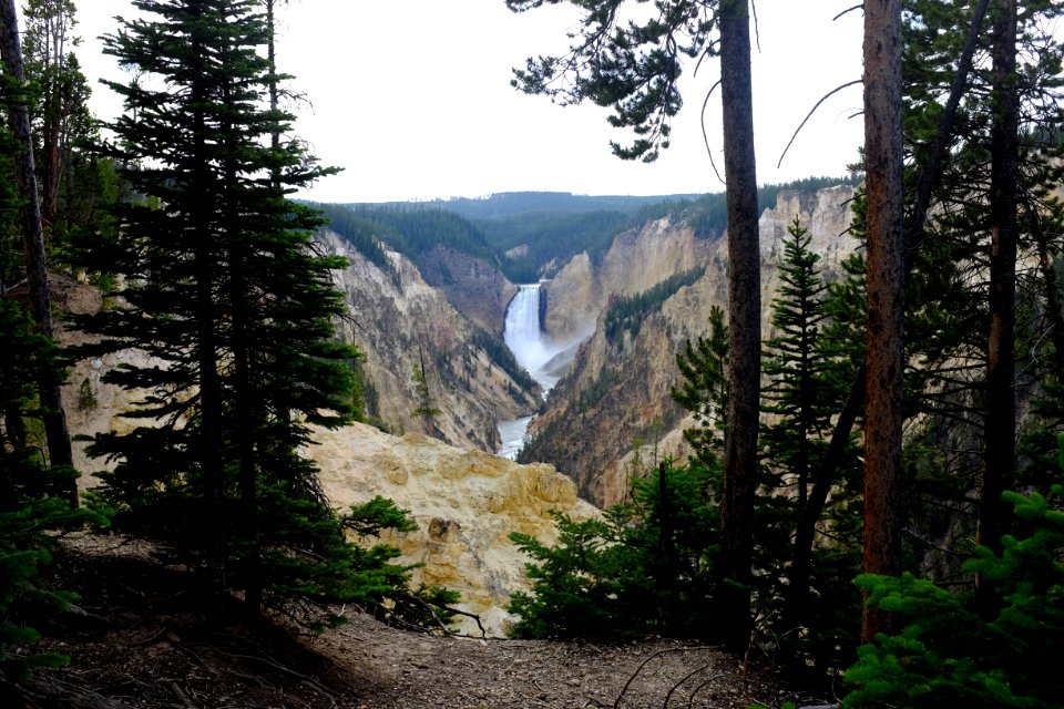 Yellowstone national park, United states, Yellowstone