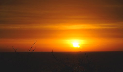 Sea, Orange, Sunrise photo