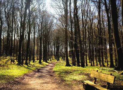 Jasmund national park, Sassnitz, Germany