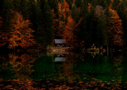reflective photography of cabin in forest photo