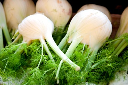 Food, Fennel, Fresh