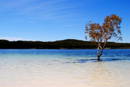 Lake mckenzie, Fraser isl, Australia photo