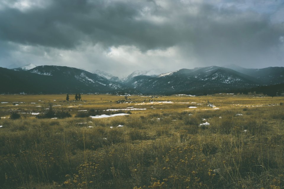 grass field near mountains