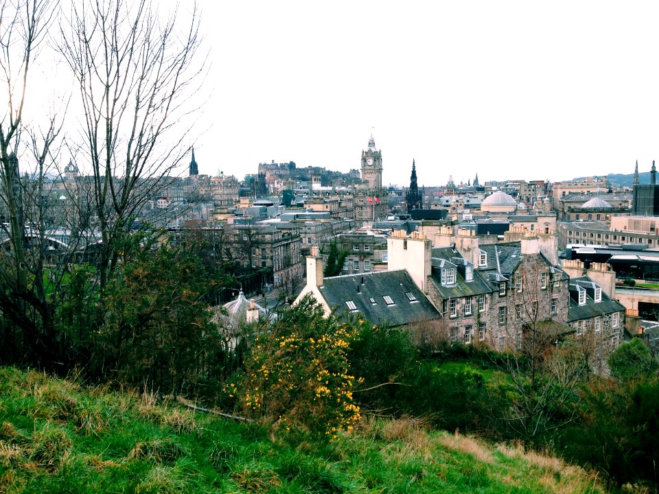 Edinburgh, United kingdom, Tree