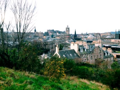 Edinburgh, United kingdom, Tree