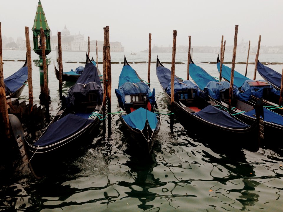 Italy, Metropolitan city of venice, Venice