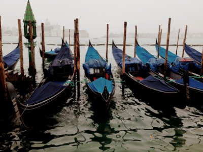 Italy, Metropolitan city of venice, Venice