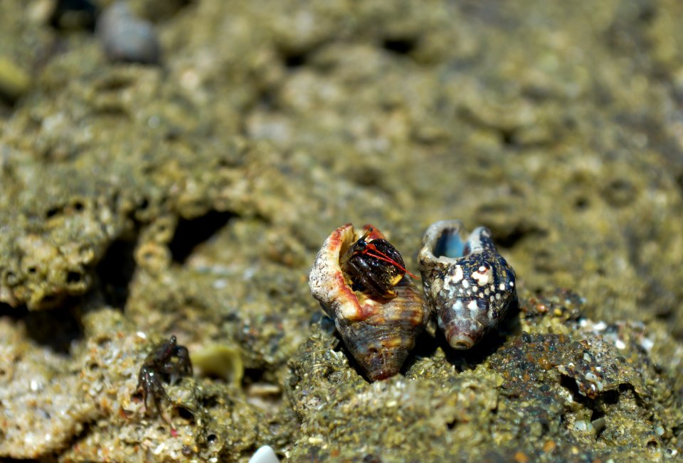 Rocks, Water, Seashore