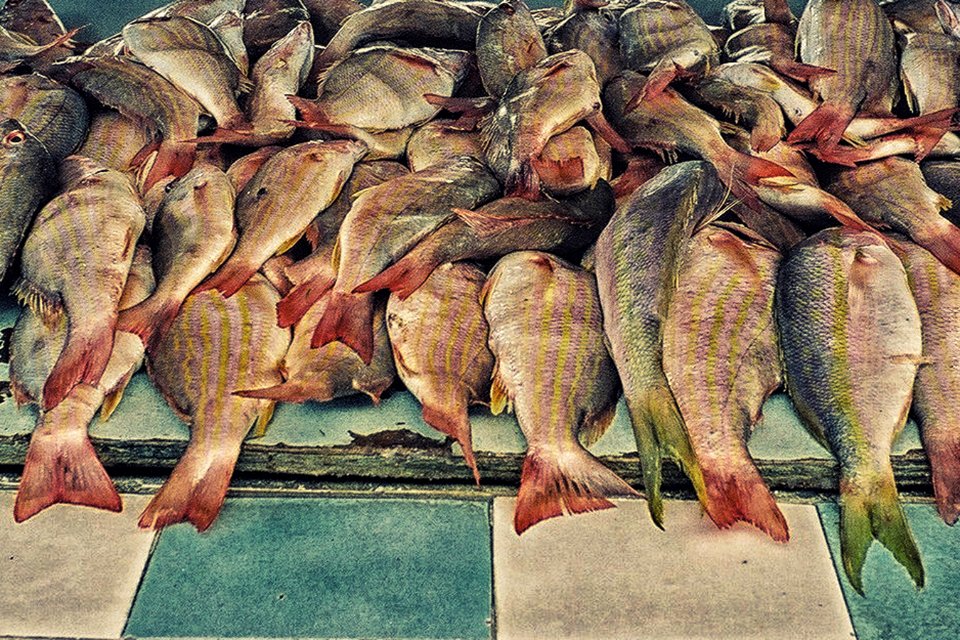 Nassau, The bahamas, Fish market