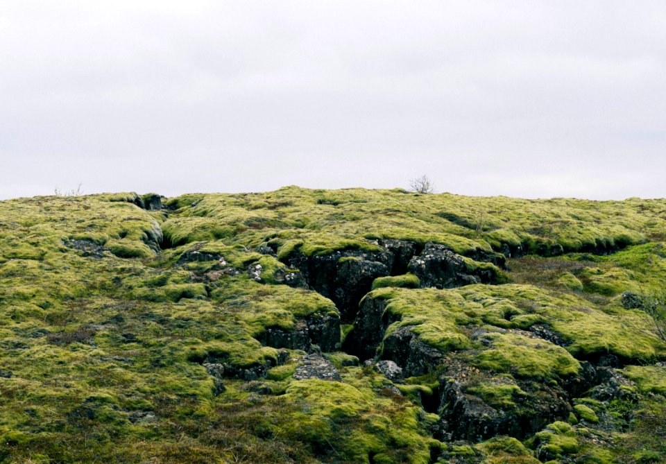 Icel, Reykjavk, Terrain