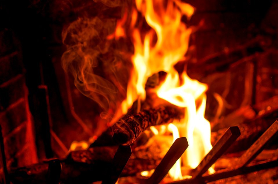 Winter, Warm, Close up