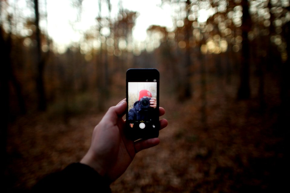 person taking selfie in forest