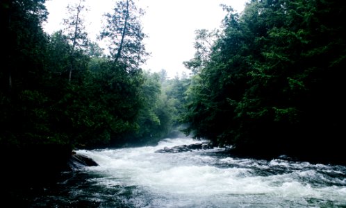 Water, Summer, Rapids
